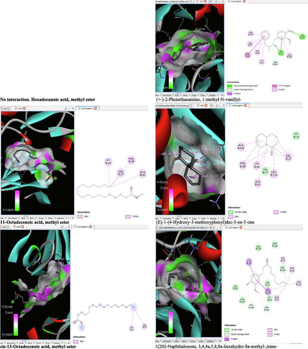 3D and 2D complex structure of binding Interaction between ligand and protein (PDB: 1XO2).