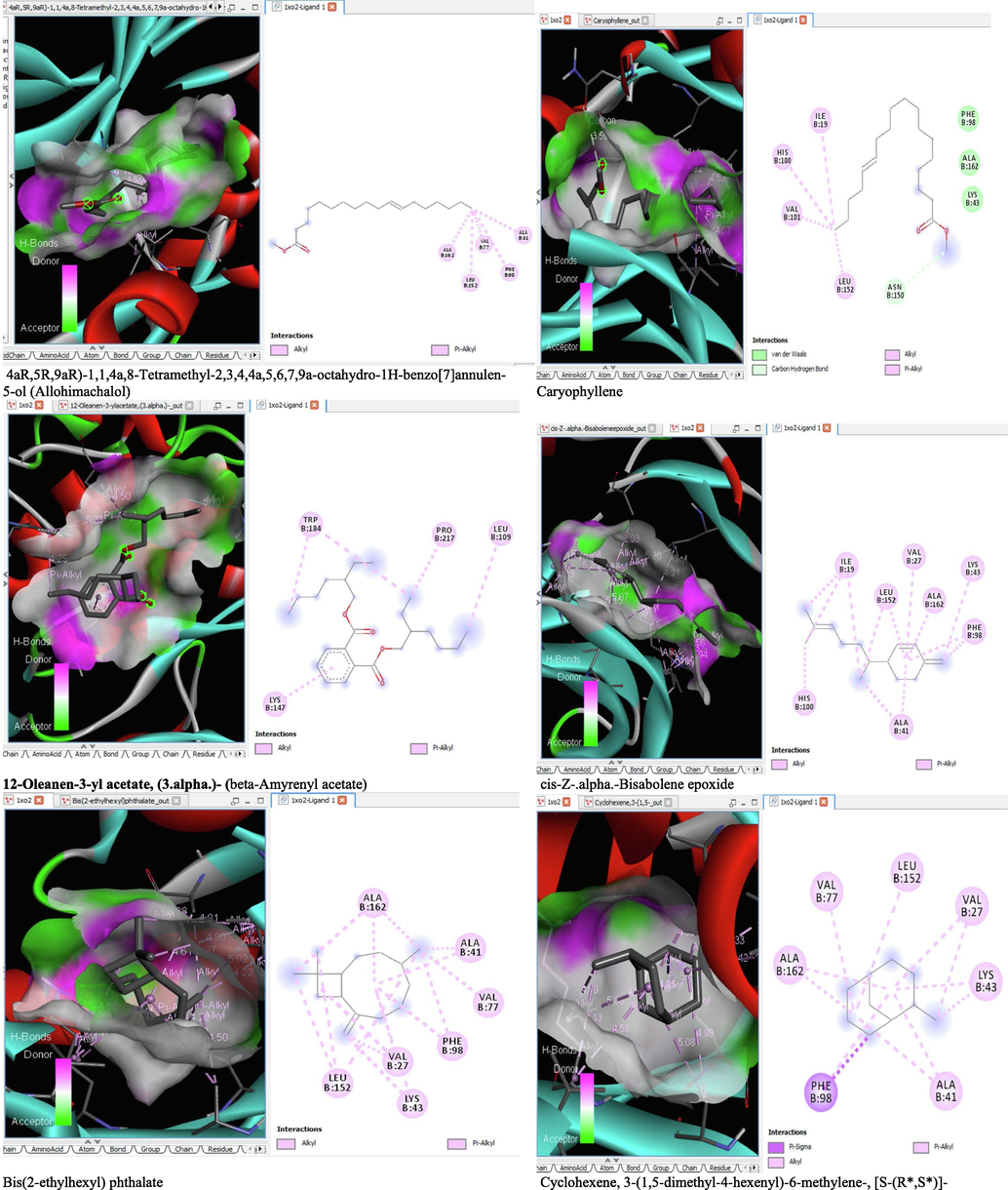 3D and 2D complex structure of binding Interaction between ligand and protein (PDB: 1XO2).