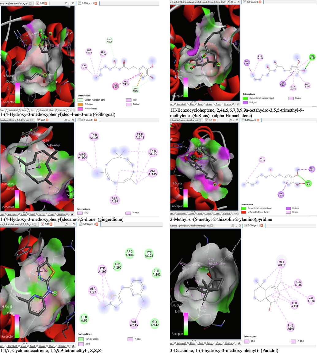 3D and 2D complex structure of binding Interaction between ligand and protein (PDB: 2O2F).