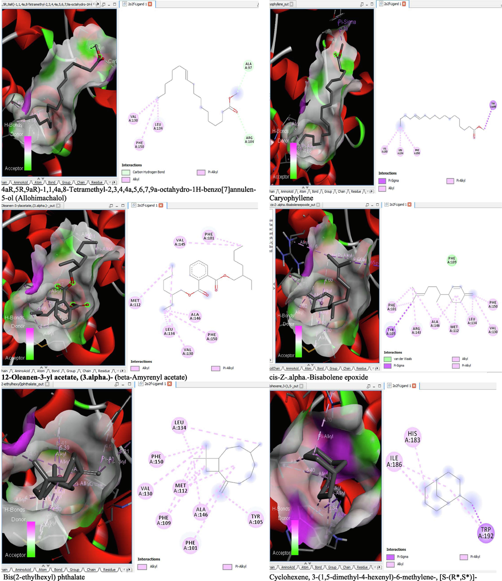 3D and 2D complex structure of binding Interaction between ligand and protein (PDB: 2O2F).