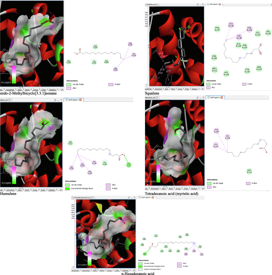 3D and 2D complex structure of binding Interaction between ligand and protein (PDB: 2O2F).