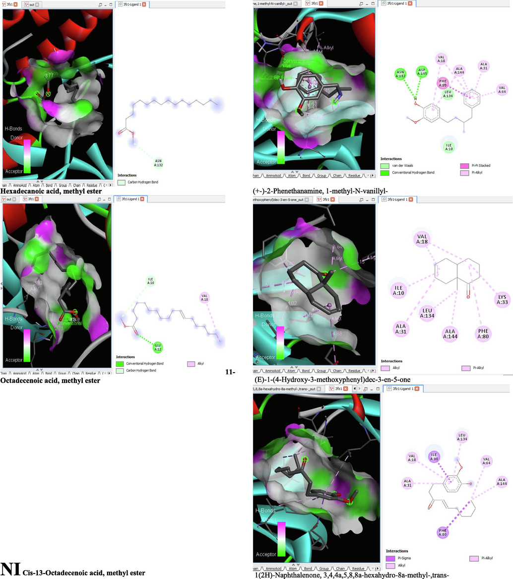 3D and 2D complex structure of binding Interaction between ligand and protein (PDB: 3FZ1).