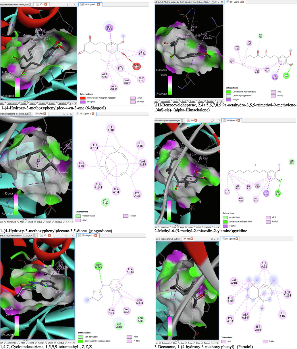 3D and 2D complex structure of binding Interaction between ligand and protein (PDB: 3FZ1).