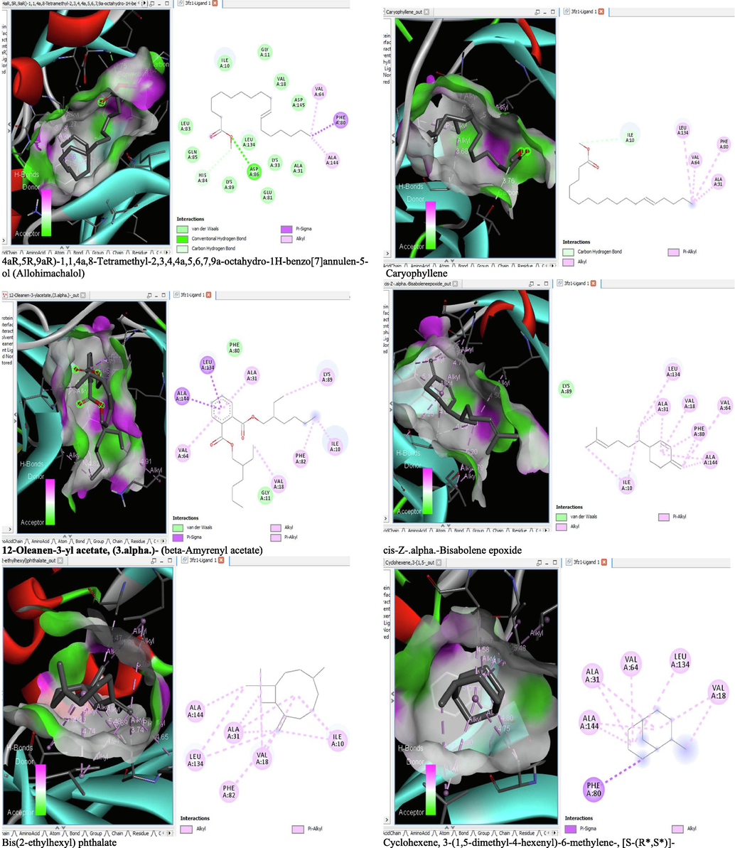 3D and 2D complex structure of binding Interaction between ligand and protein (PDB: 3FZ1).