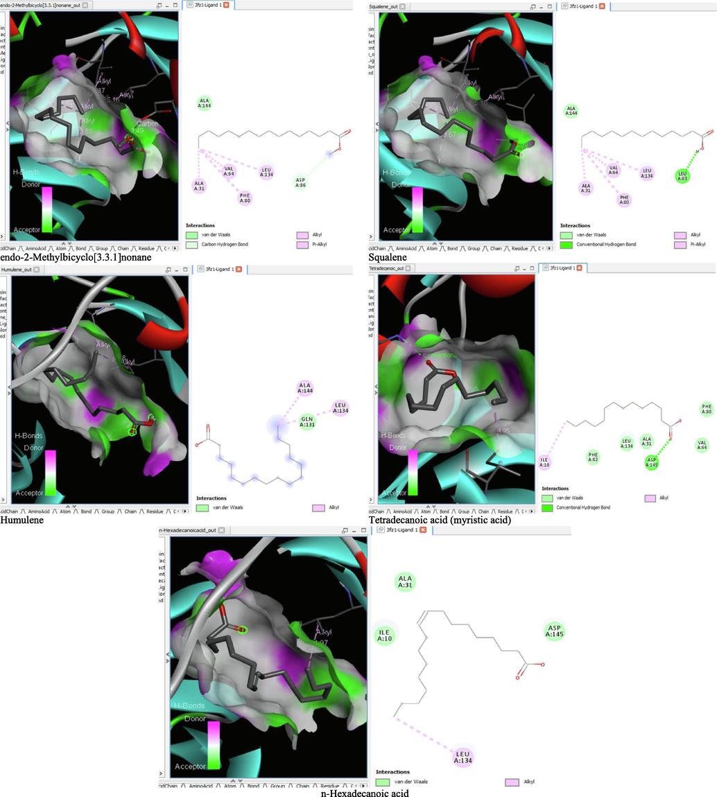 3D and 2D complex structure of binding Interaction between ligand and protein (PDB: 3FZ1).