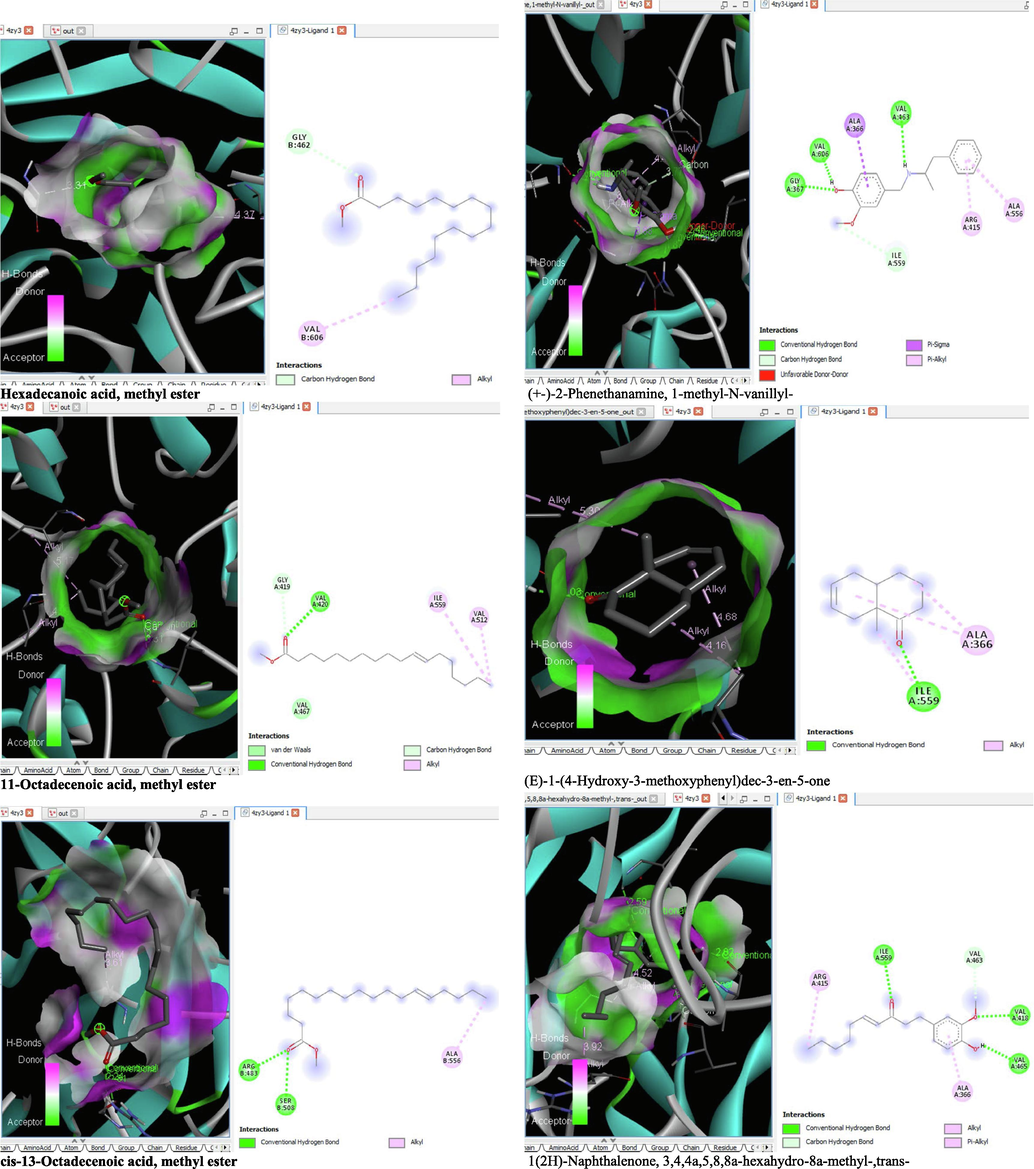 3D and 2D complex structure of binding Interaction between ligand and protein (PDB: 4ZY3).