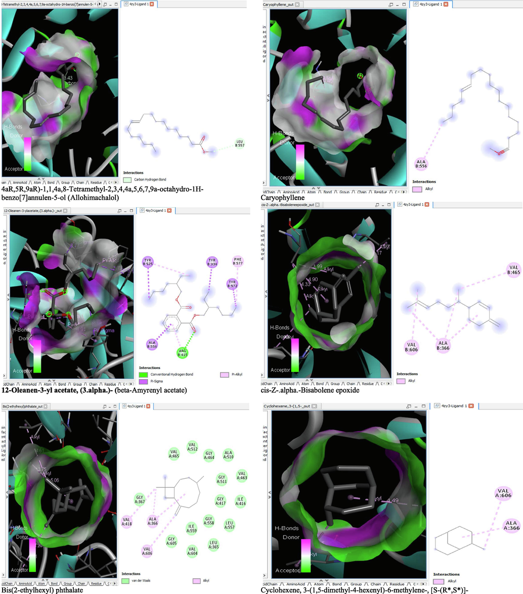 3D and 2D complex structure of binding Interaction between ligand and protein (PDB: 4ZY3).