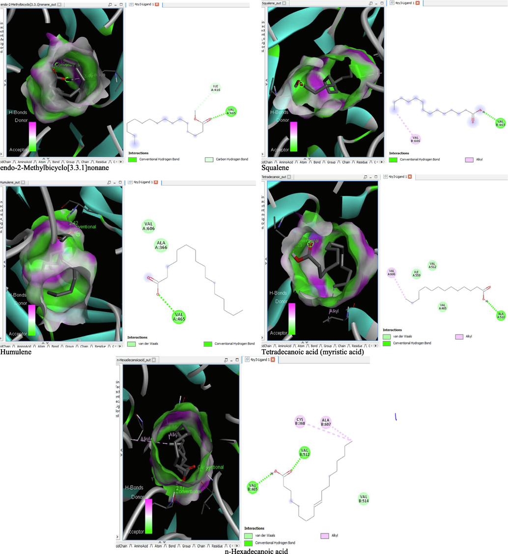 3D and 2D complex structure of binding Interaction between ligand and protein (PDB: 4ZY3).