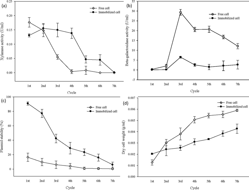 (a) Xylanase excretion between immobilized cell (onto non-treated graphene oxide) and free cell by repeated fermentation (b) β-galactosidase activity of immobilized cell (onto non-treated graphene oxide) and free cell by repeated fermentation (c) Plasmid stability of immobilized cell (onto non-treated graphene oxide) and free cell by repeated fermentation (d) Dry cell weight of immobilized cell (onto non-treated graphene oxide) and free cell by repeated fermentation.