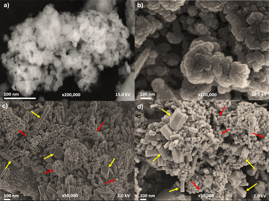 FESEM images of synthesized ZnO-NPs. a) Quasi-spherical shapes of ZnO-NPs 200 °C. b) Quasi-spherical shape of ZnO-NPs 400 °C. c) Quasi-spherical (red arrows) and hexagonal prism (yellow arrows) shapes of ZnO-NPs 600 °C. d) The hexagonal prism shapes (yellow arrows) and quasi-spherical shapes (red arrows) of ZnO-NPs 800 °C.