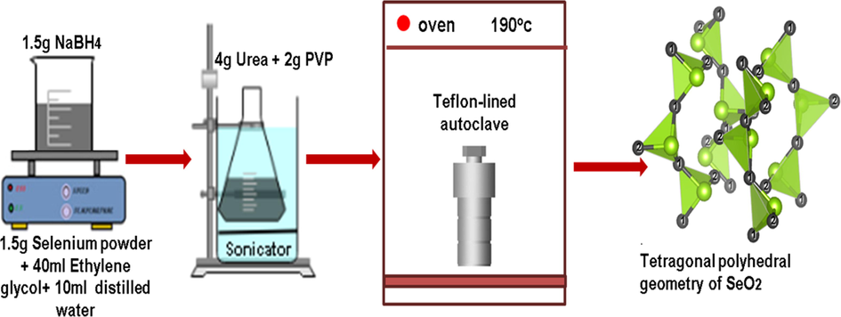 Flow sheet of fabrication of SeO2 nanorods.