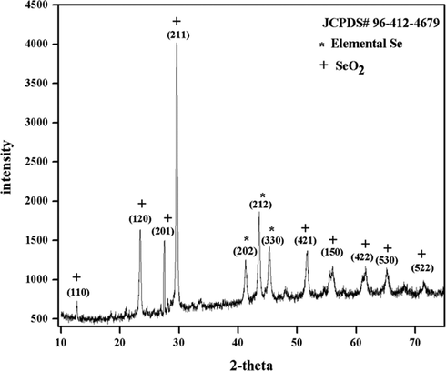 XRD pattern of SeO2 nanorods.