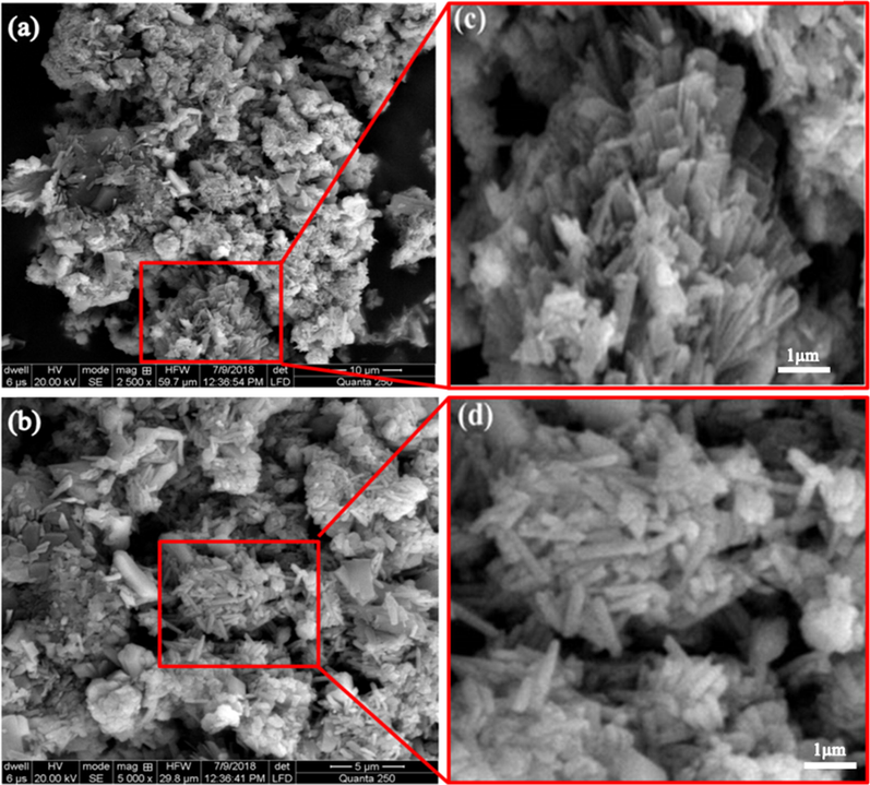 SEM images of SeO2 (a) 2500X (b) 5000X (c) flower orientation of SeO2 nanorods (d) magnified image of nanorods.