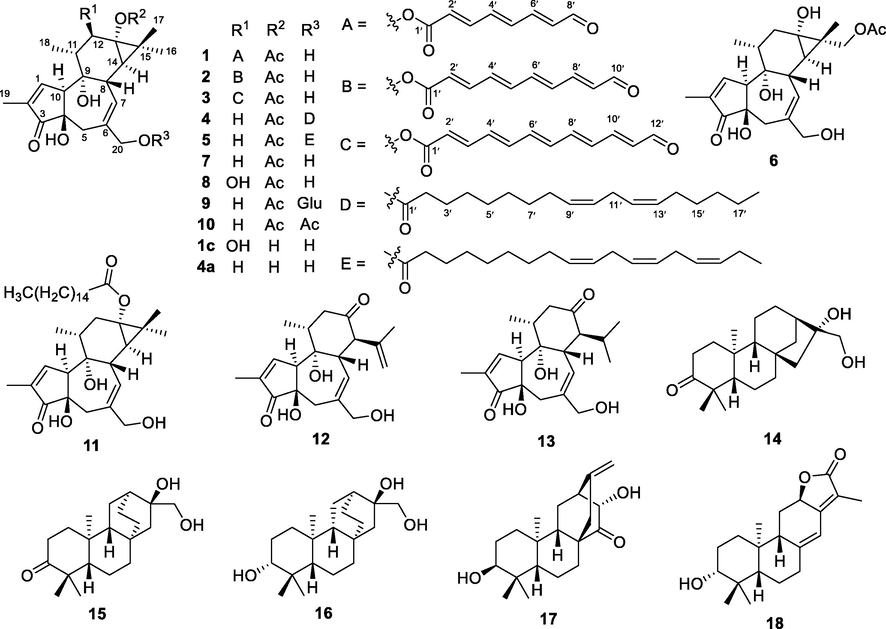 Structures of compounds 1–18 and two hydrolyzed analogues 1c and 4a.