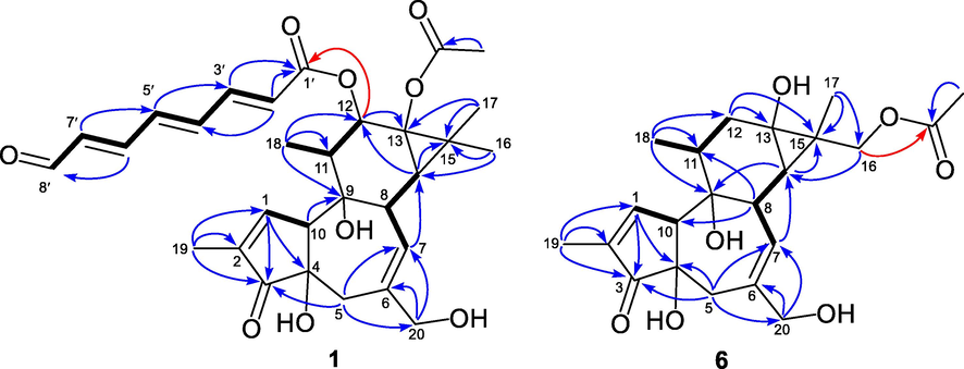 Key 1H−1H COSY (-) and HMBC (arrows) correlations of 1 and 6.