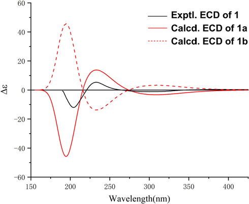 The experimental and calculated ECD curves of 1.