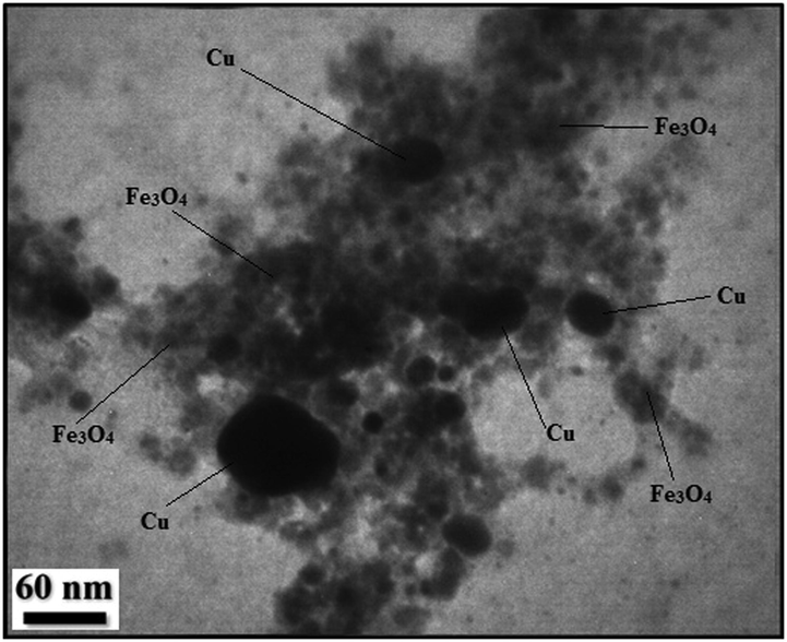 TEM image of Cu-Hibiscus@Fe3O4 nanocomposite.