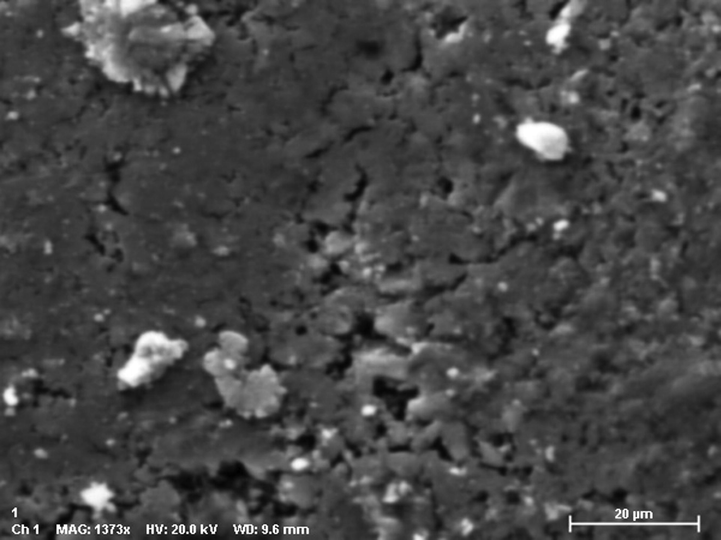 SEM image of Cu-Hibiscus@Fe3O4nanocomposite.