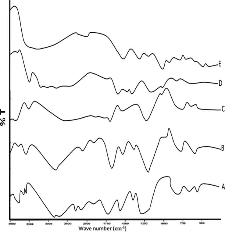 FTIR spectra of (A) loaded microspheres (B) QSM, (C) unloaded microspheres (D) cefixime (E) sodium alginate.