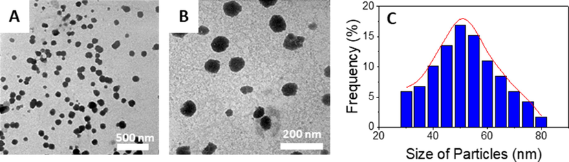 Transmission electron micrograph images at different amplification and particle size distribution of 5-FU@β-CD/Alg nanocomposite.