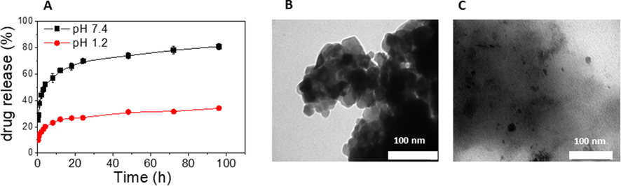 Drug release profile of the 5-FU@β-CD/Alg nanocomposite at pH 7.4 and pH 1.2 (A); TEM images of the 5-FU@β-CD/Alg nanocomposite recovered after 48 h from pH 1.2 (B) and pH 7.4 (C).