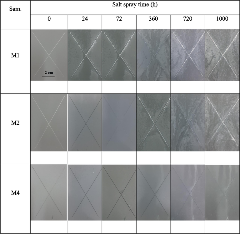 Surface images of the silicate coating after the salt spray test for 1000 h.