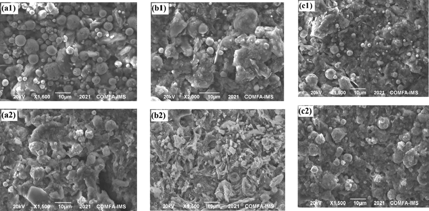 SEM images of samples M1 (a1 and a2), M2 (b1 and b2) and M4 (c1 and c2) before (upper) and after (under) salt spray test for 1000 h.