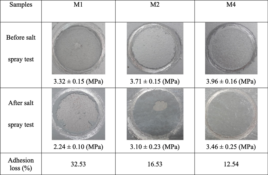 Surface images and adhesion strength of the pull-off adhesion test for different samples before and after the salt spray test (1000 h).