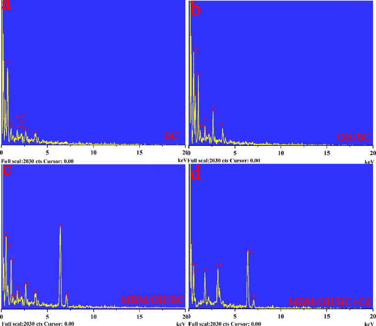 (a-c) The EDS spectra image analysis of BC, OH/BC and MBM/OH/BC. (d) The EDS spectra image analysis of MBM/OH/BC after Cd2+ adsorption.