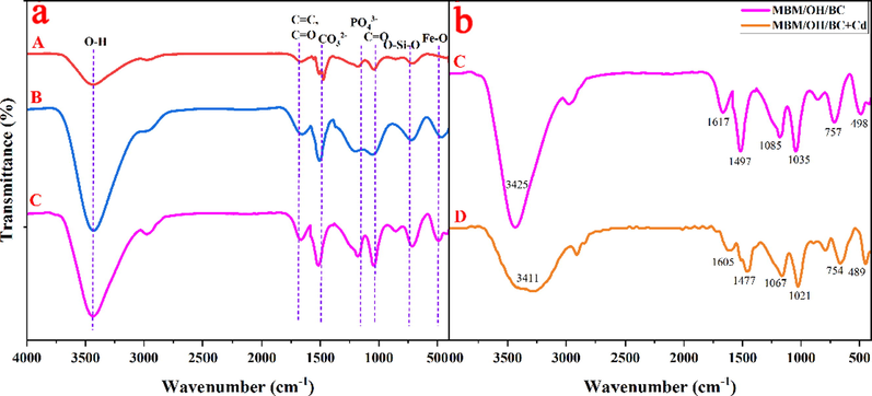 (a) The FTIR spectra of BC (A), OH/BC (B) and MBM/OH/BC (C). (b) The FTIR spectra of MBM/OH/BC before and after Cd2+ adsorption.