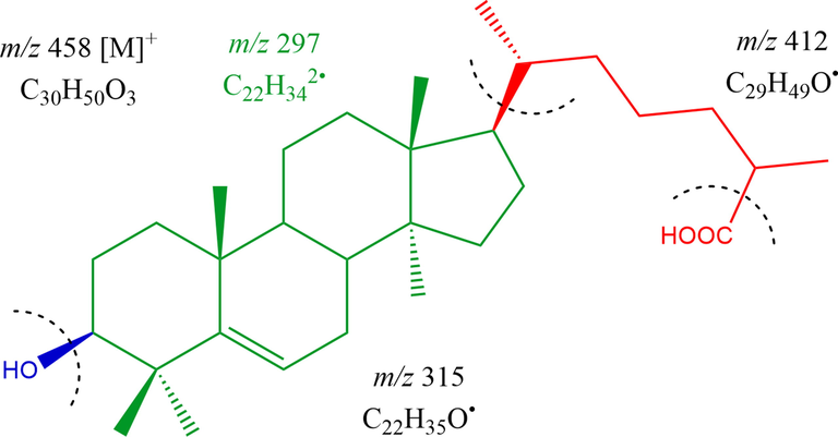 Mass fragmentation pattern of Lanost-5- en-3β-ol- 26-oic acid (HS-03).