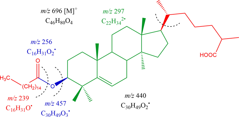 Mass fragmentation pattern of Lanost-5-en-26-oic acid-3β-olyl palmitate (HS-04).