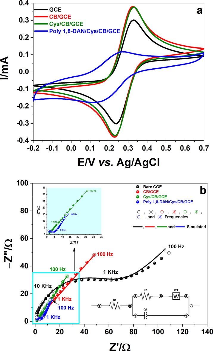 a) Cyclic voltammetry of GCE (black line), CB/GCE (red line), and poly 1,8-DAN/Cys/CB/GCE (blue line). b) Nyquist Plots of GCE (black), CB/GCE (red), Cys/CB/GCE (green), and poly 1,8-DAN/Cys/CB/GCE (blue) in 0.5 M of KCl containing 10 mM of [Fe(CN]6]3-/4- at a fixed potential of 0.35 V vs. Ag/AgCl and an amplitude of 10 mV.