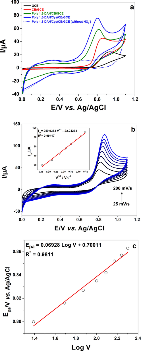 a) Cyclic voltammetry of GCE (black line), CB/GCE (red line), poly 1,8-DAN/CB/GCE (green line), and poly 1,8-DAN/Cys/CB/GCE (blue line) in pH 7.2, 0.1 M PBS with 1 mM of NO2− at a scan rate of 50 mV/s, and without NO2− (dashed line). b) Cyclic voltammetry of poly 1,8-DAN/Cys/CB/GCE in pH 7.2, 0.1 M PBS containing 1 mM of NO2− at scan rates from 25 to 200 mV/s with the plot of NO2− oxidation peak current versus V1/2. c) The calibration curve of the oxidation peak potential versus log V.