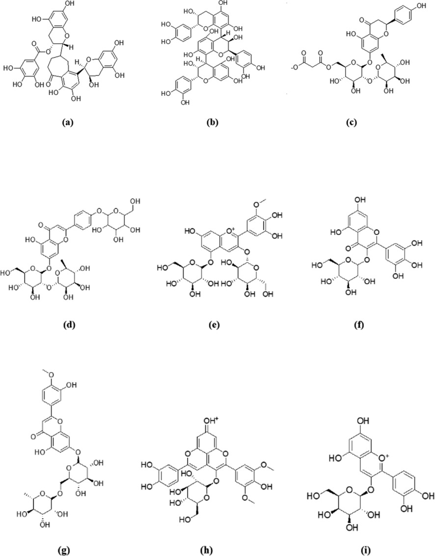 Chemical structures of the top 5 compounds on each of PPARɣ and GLP-1 receptor. (a) theaflavin-3′-O-gallate, (b) procyanidin C1, (c) naringin-6′-malonate, (d) rhoifolin-4′-O-glucoside, (e) petunidin 3,5-O-diglucoside, (f) myricetin-3-O-glucoside, (g) diosmin, (h) malvidin 3,5-O-diglucoside, (i) cyanidin 3-O-galactoside.