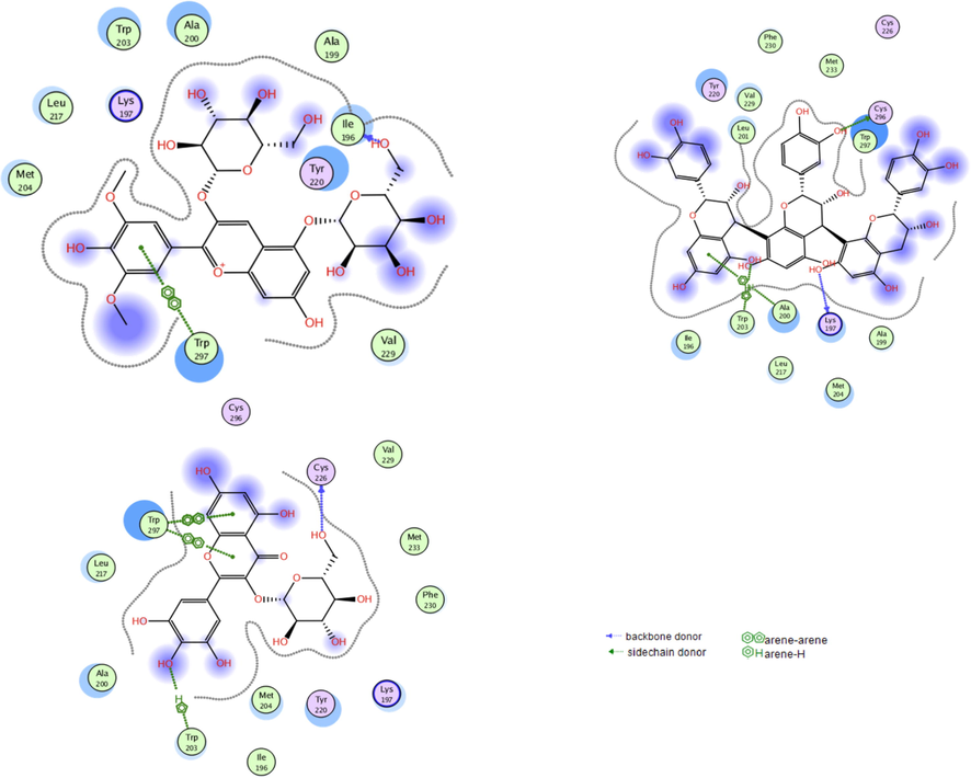 The interactions of the best scoring anthocyanin (h; top left), tannin (b; top right), and flavonoid (f; bottom) with the residues in the binding site of GLP-1 receptor. Blue dotted lines represent direct hydrogen bonding with residues’ backbones, green dotted lines represent direct hydrogen bonding with residues’ sidechains, green arene-hydrogen lines as well as green arene-arene lines indicate hydrophobic interactions.