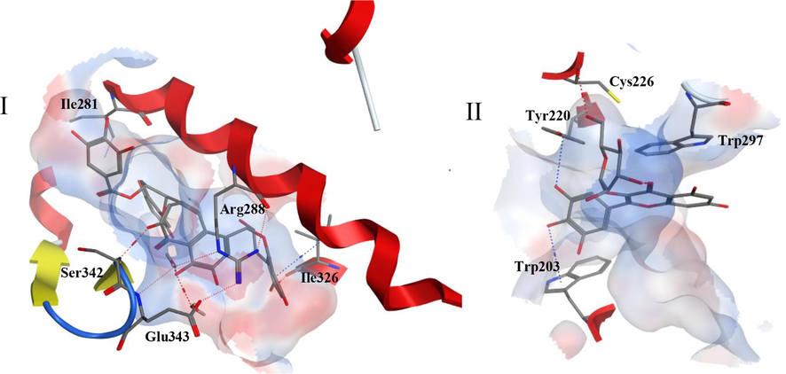 I. Three dimensional representation of compound (a) in the active site of PPARɣ receptor. II. Three-dimensional representation of compound (f) in the active site of GLP-1 receptor. An electrostatic molecular surface was created surrounding the amino acids constituting the binding site. Side chains of amino acids were omitted for clarity. Red dotted lines indicate hydrogen bonding while blue dotted lines indicate hydrophobic interactions. Secondary structures of receptors including red alpha helices, yellow beta sheets and blue turns are displayed.