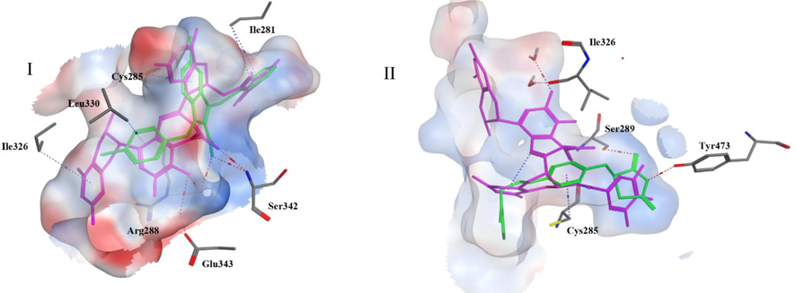 I: Superimposition of the top compound theaflavin 3′-O-gallate (magenta) on the partial agonist nTZDpa (green) in the binding site of 2Q5S, II: Superimposition of the top compound theaflavin 3′-O-gallate (magenta) on the full agonist rosiglitazone (green) in the binding site of 4EMA. Red dotted lines indicate hydrogen bonding while blue ones indicate hydrophobic interactions.