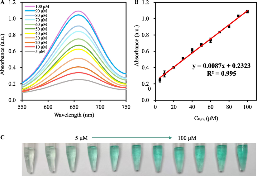 (A) The absorption spectra of VB3-TMB system upon adding different concentrations of H2O2 (5–100.0 μM, from bottom to top); (B) Calibration plots of the absorbance versus the concentrations of H2O2 under the optimal conditions; (C) The corresponding digital photographs. The error bars represent the standard deviation of three repeated measurements.