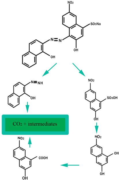 Intermediate photoproducts formed and plausible pathway for the EBT photodegradation.