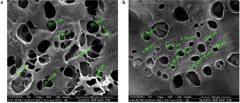 Morphology of LGA loaded col-cs scaffold a) before and b) after crosslinking determination by SEM at a scale range of 100 µm showing an average pore size of 21.207 before and 12.17 after crosslinking.