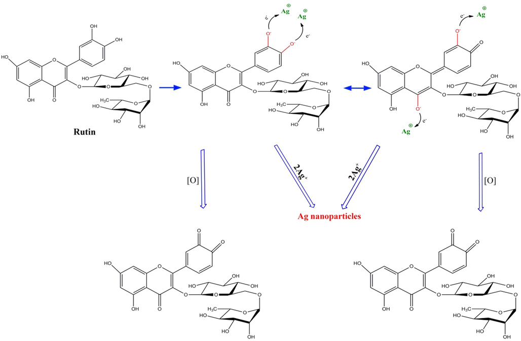 The possible mechanism of synthesis of silver nanoparticle using M. sativa extract.