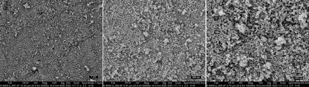 Field emission scanning electron microscopy (FESEM) images of the biosynthesized AgNPs using M. sativa extract at optimum condition (sample no. 10).