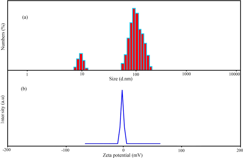 (a) Dynamic light scattering (DLS) and (b) zeta-potential measurement of MSE-AgNPs (sample no. 10).