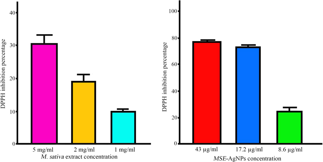 DPPH inhibition percentage at different concentrations of extract and MSE-AgNPs.