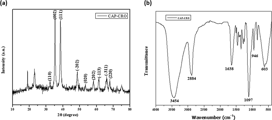 XRD and FT-IR analysis of CSP-Cr-NCs. XRD analysis demonstrated the different peaks, which confirms the crystalline nature of fabricated CSP-Cr-NCs (a). FT-IR spectrum of formulated CSP-Cr-NCs exhibited the presence of several stretching and bonding such as O-H, C-H, C-O, and H-O (b).