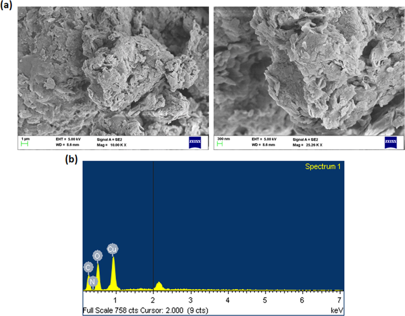 SEM and EDX analysis of CSP-Cr-NCs. The images of SEM analysis demonstrated the tetragonal and agglomerated morphological appearances (a). The EDX analysis exhibited the occurence of carbon, nitrogen, oxygen, and copper elements in the formulated CSP-Cr-NCs (b).