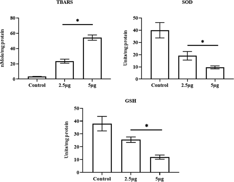 Effect of CSP-Cr-NCs treatment on the levels of oxidant and antioxidant biomarkers in the KYSE-150 cells. The 2.5 and 5 µg of fabricated CSP-Cr-NCs treated KYSE-150 cells revealed a augmented TBARS level, depleted GSH content and SOD activity than control. Data were displayed as mean ± SD of triplicate assays. Results were evaluated statistically by one-way ANOVA and Duncan's multiple range assay. ‘*’ indicates p < 0.05 compared with control.