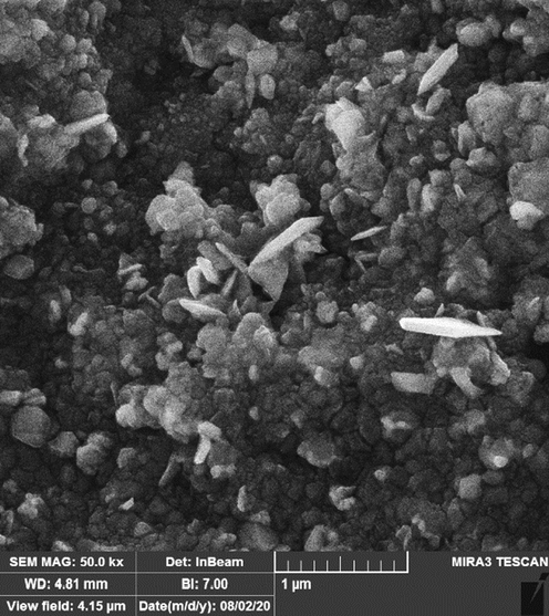 FE-SEM image of Ag NPs.