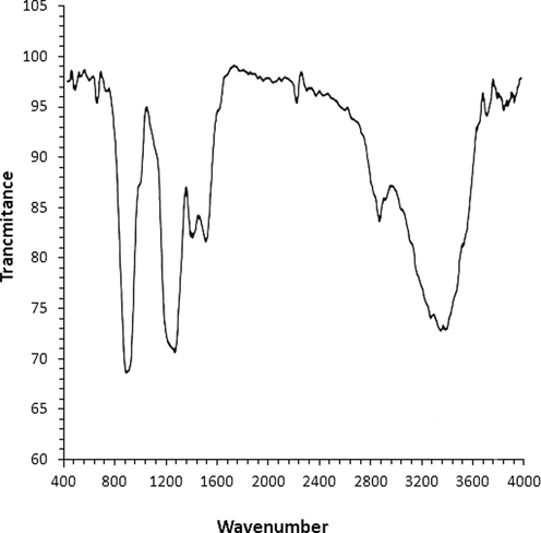 FT-IR analysis of Ag NPs.